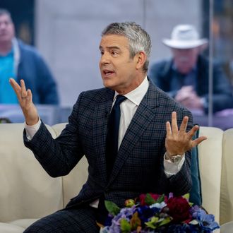 What Kind of Real Housewives Live in Rhode Island?